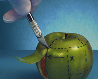 免费短信云呼轰炸