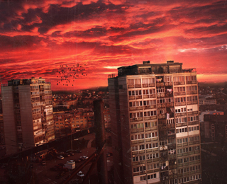 手机号轰炸机网页版